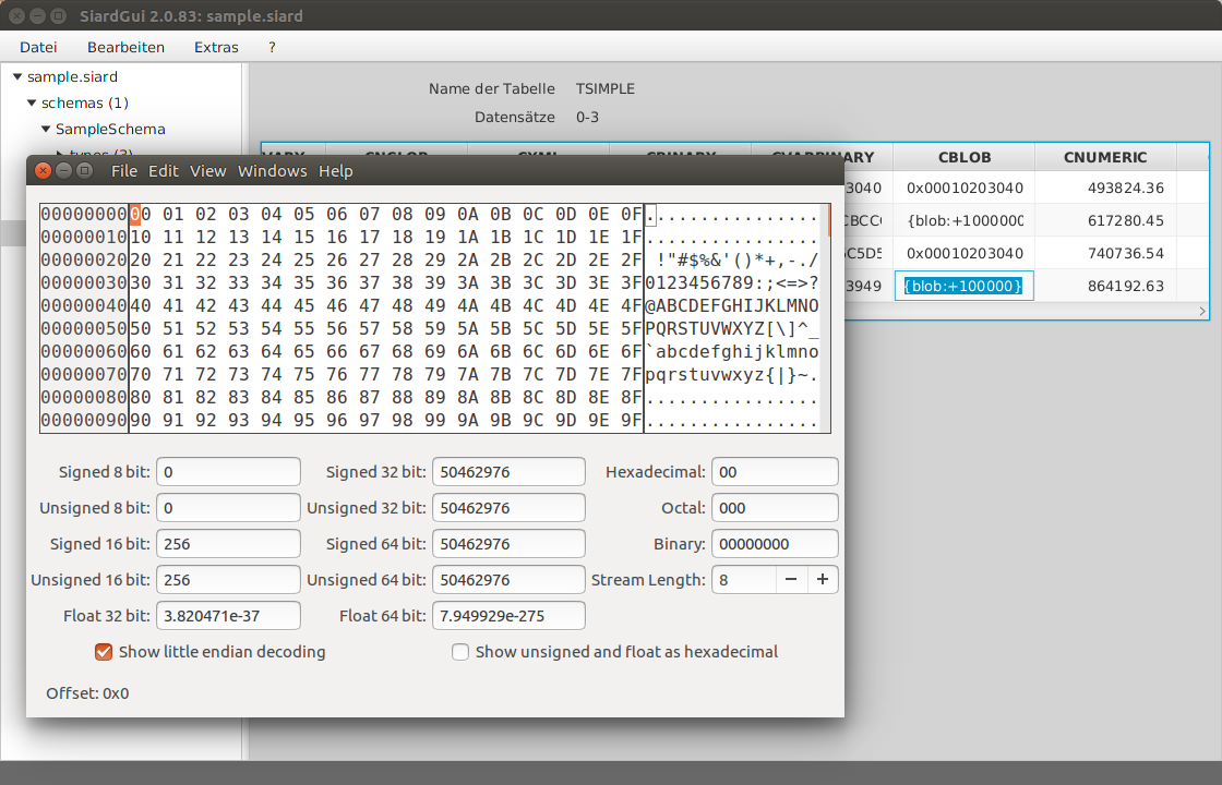 Long binary display