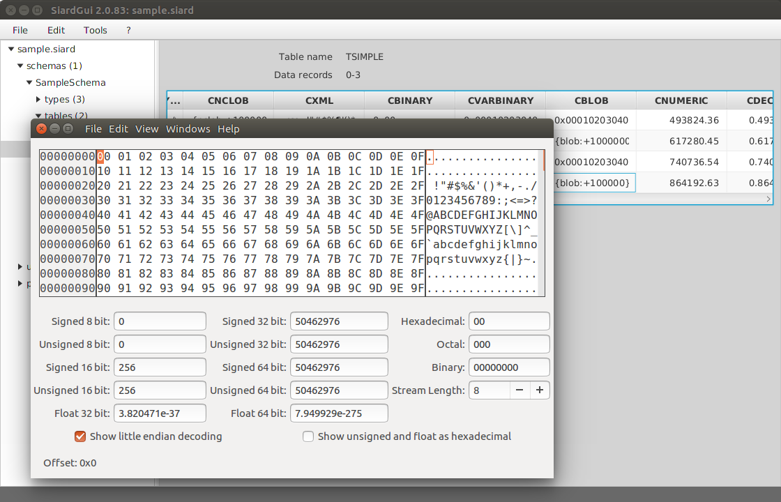 Long binary display