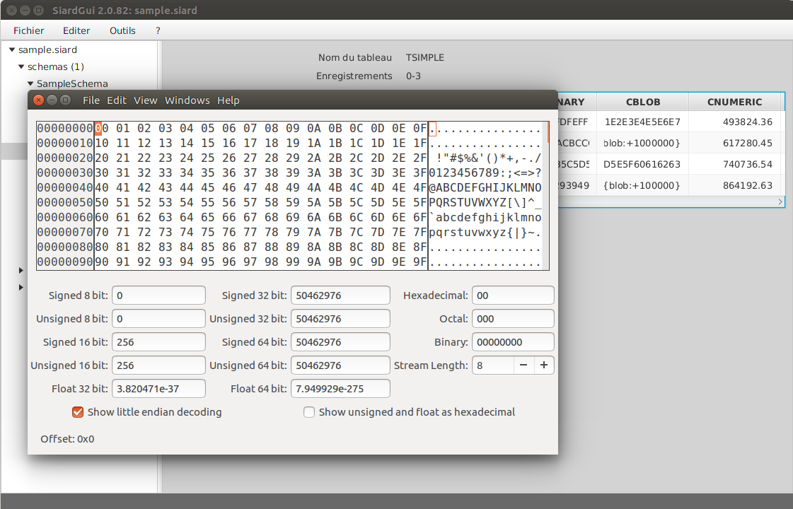 Long binary display