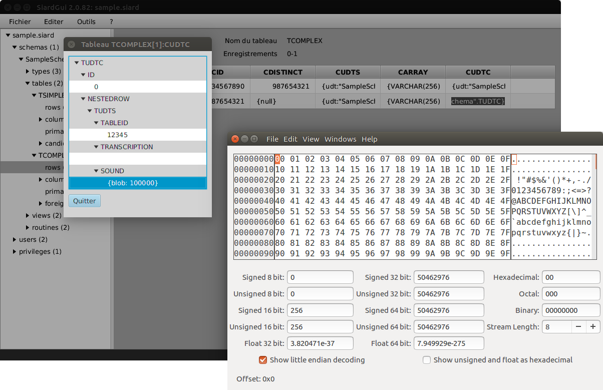 Complex UDT value with binary attribute