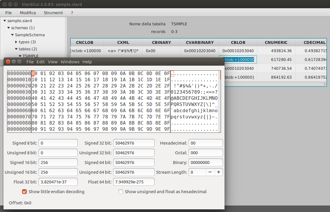 Long binary display